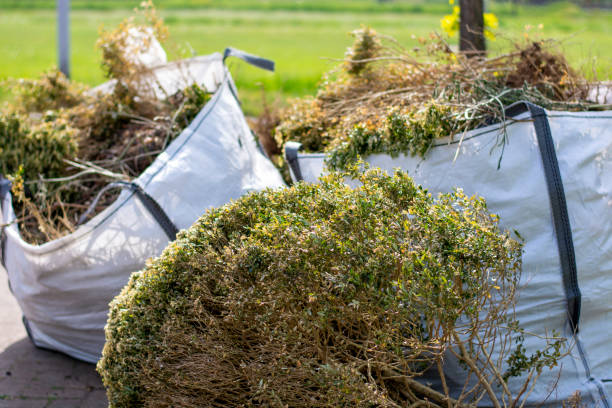 Attic Cleanout Services in Valencia West, AZ