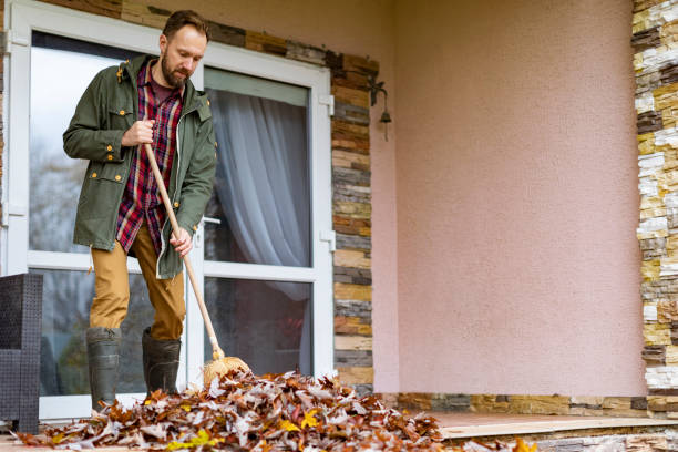 Best Furniture Removal Near Me  in Valencia West, AZ